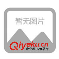 塑料打火機(jī)、金屬打火機(jī)、廣告打火機(jī)、磨砂打火機(jī)(圖)